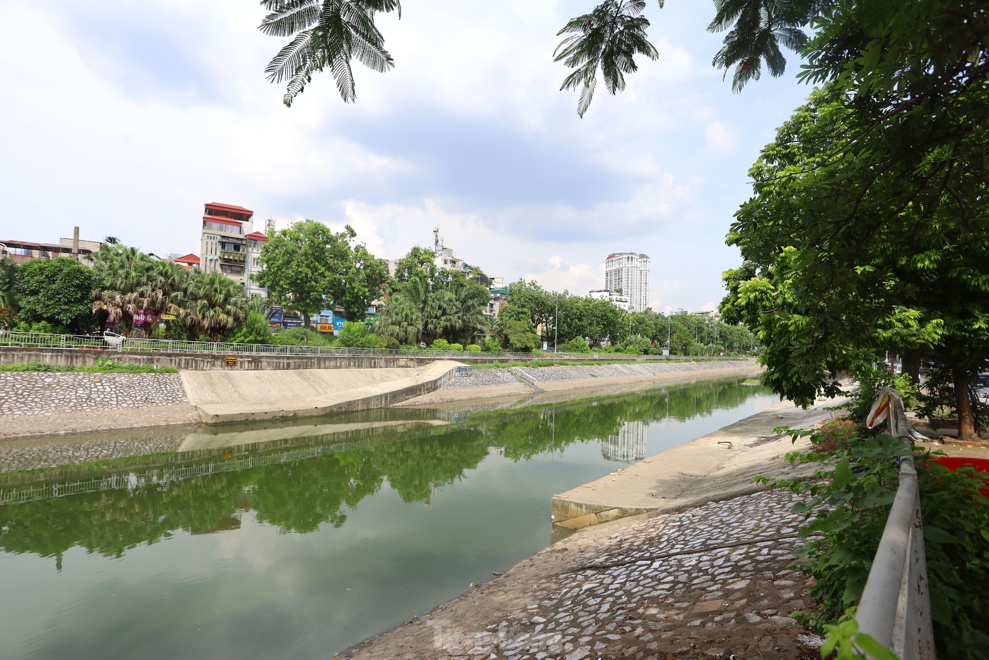 Nước chuyển màu xanh như nước Hồ Gươm, sông Tô Lịch bỗng 'nên thơ, trữ tình' ảnh 6