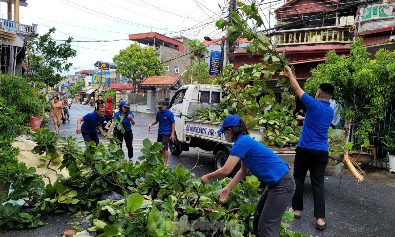 Sinh viên lội ruộng cứu lúa, khắc phục hậu quả bão số 3 ảnh 11