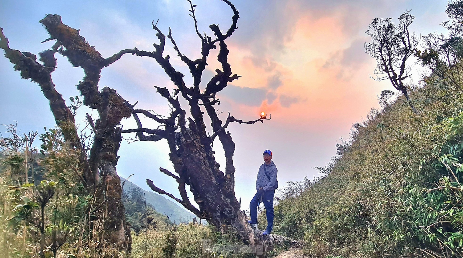 Xuyên rừng già chinh phục một trong tứ đại đỉnh núi Việt Nam ảnh 12