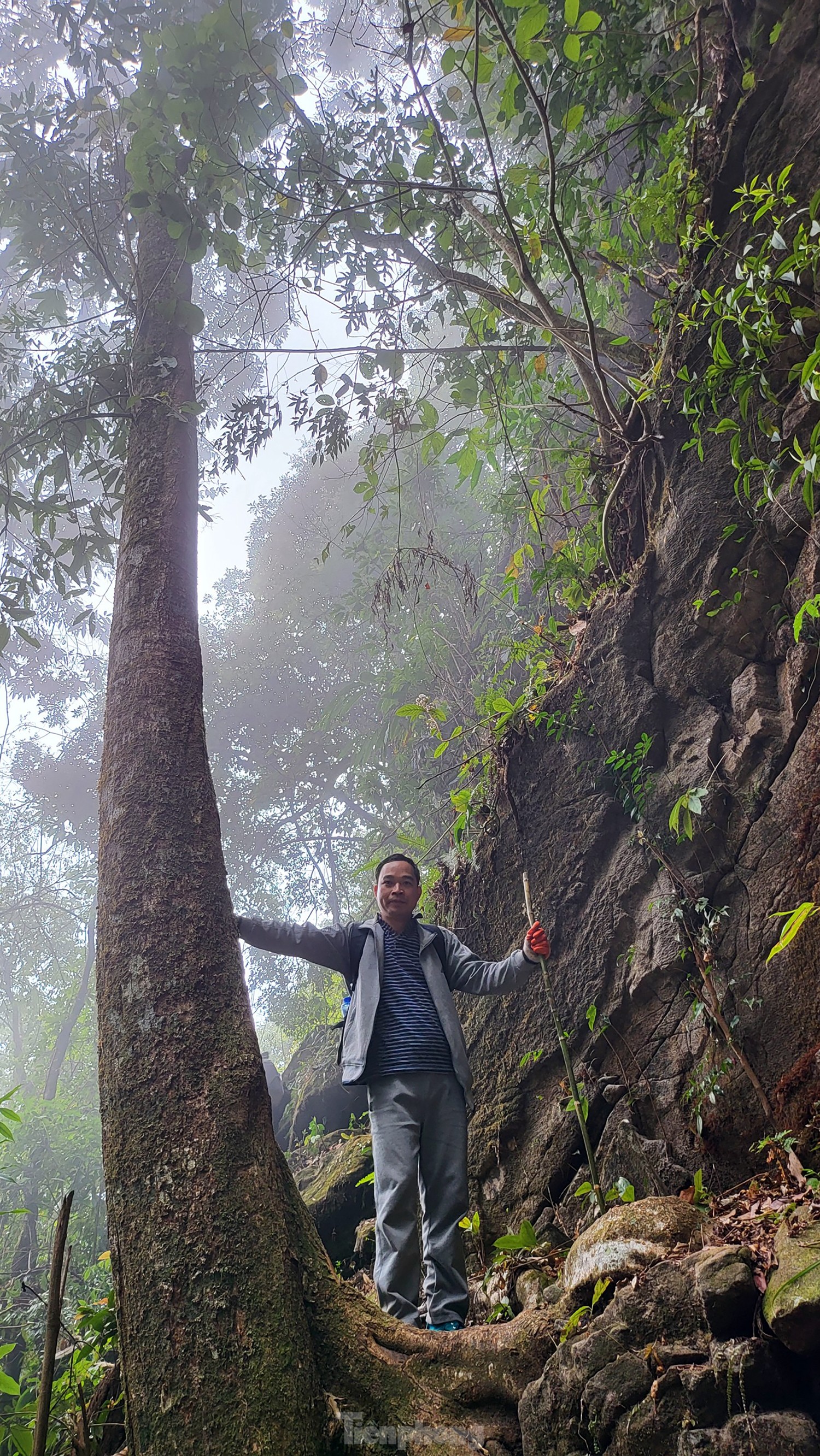 Xuyên rừng già chinh phục một trong tứ đại đỉnh núi Việt Nam ảnh 6