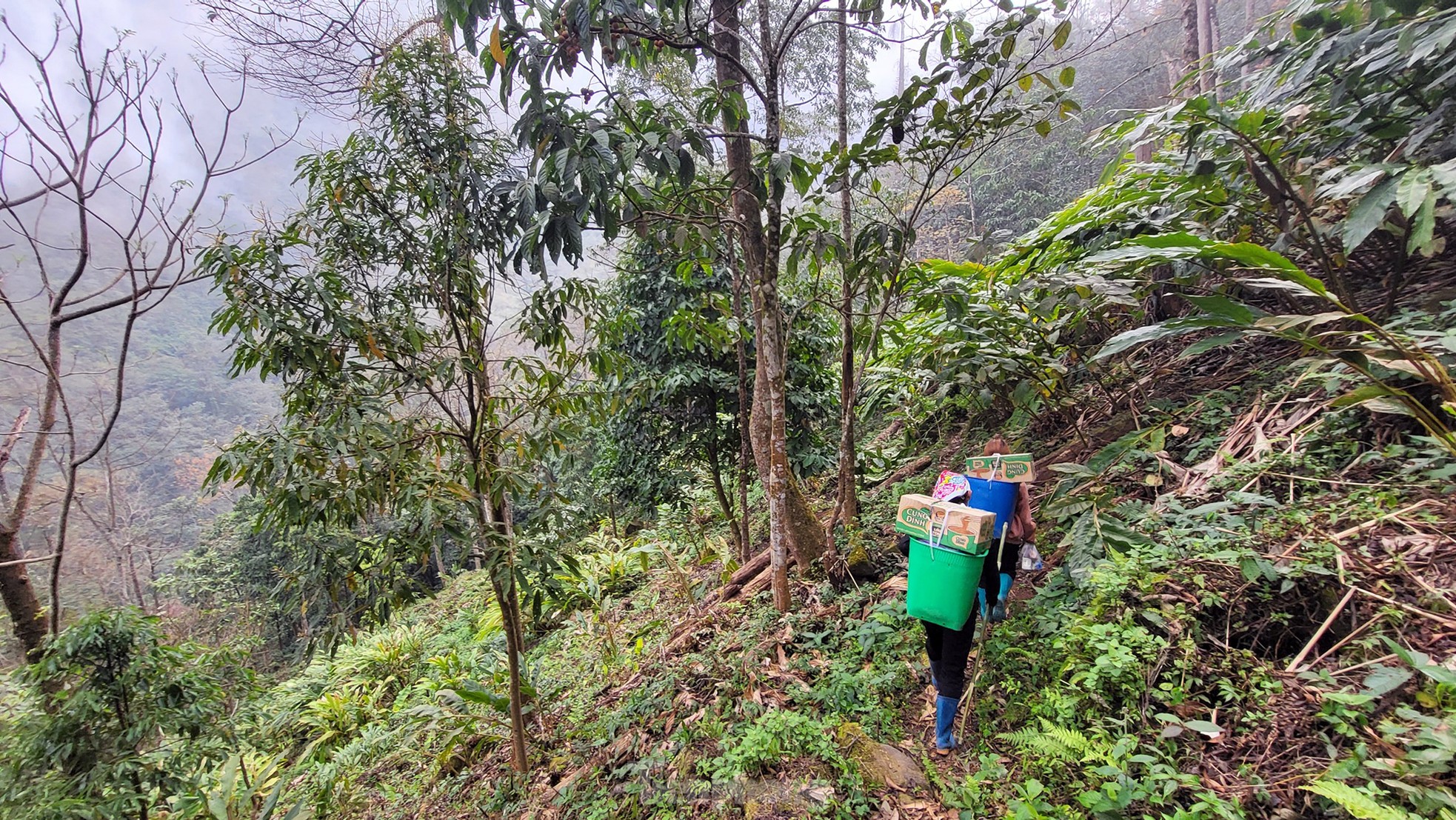 Xuyên rừng già chinh phục một trong tứ đại đỉnh núi Việt Nam ảnh 10