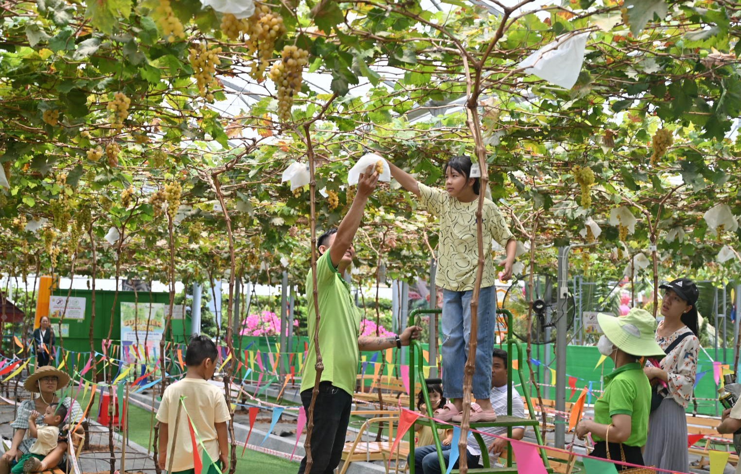 Giỗ tổ Hùng Vương, du khách chen chân đến Suối Tiên ảnh 14