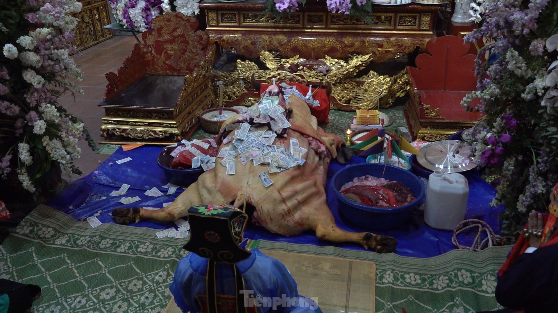 Hàng vạn người xuyên đêm xem tế trâu trắng và rước Mẫu đền Đông Cuông ảnh 6