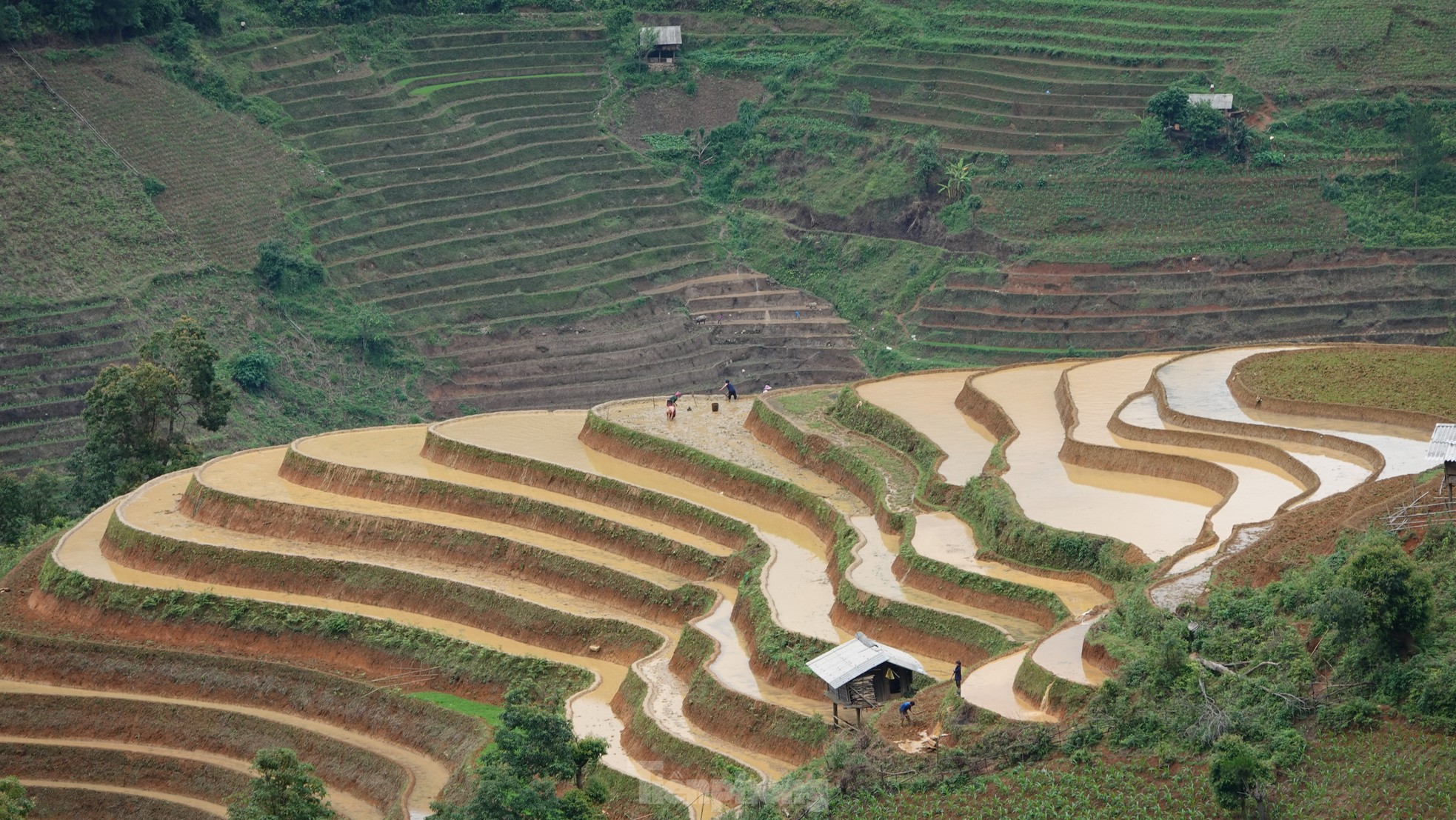 Vẻ đẹp ruộng bậc thang Mù Cang Chải mùa nước đổ ảnh 4