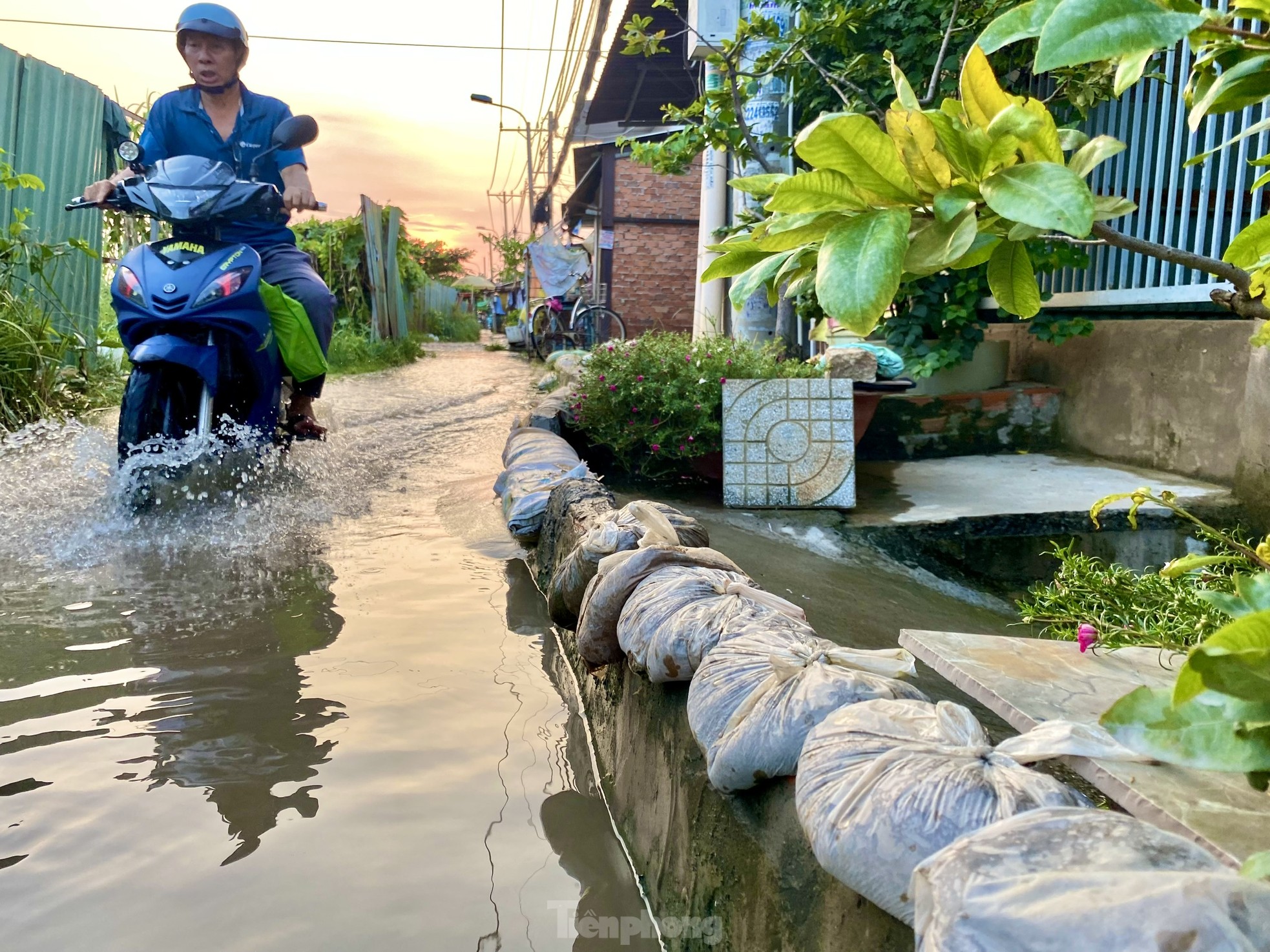 Người dân TPHCM khốn khổ đắp bao cát chống ngập khi kỳ triều cường dâng ảnh 1