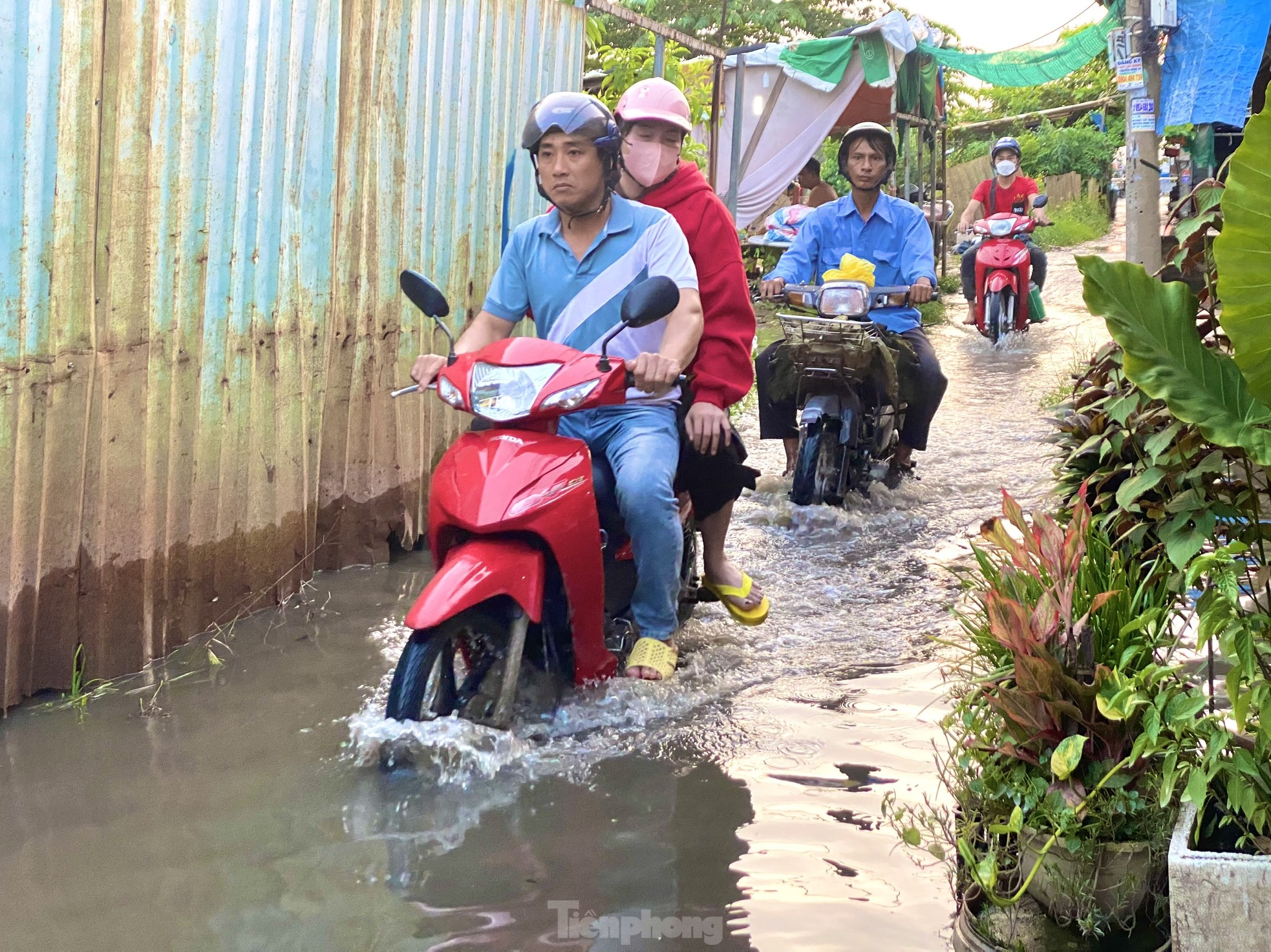 Người dân TPHCM khốn khổ đắp bao cát chống ngập khi kỳ triều cường dâng ảnh 3