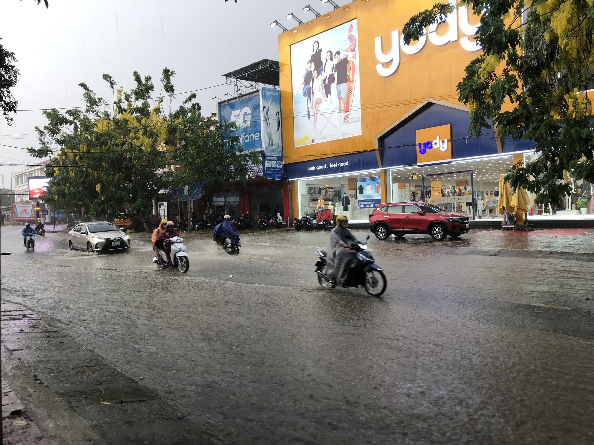 Kon Tum đón 'mưa vàng' sau nhiều tháng nóng đỉnh điểm ảnh 3