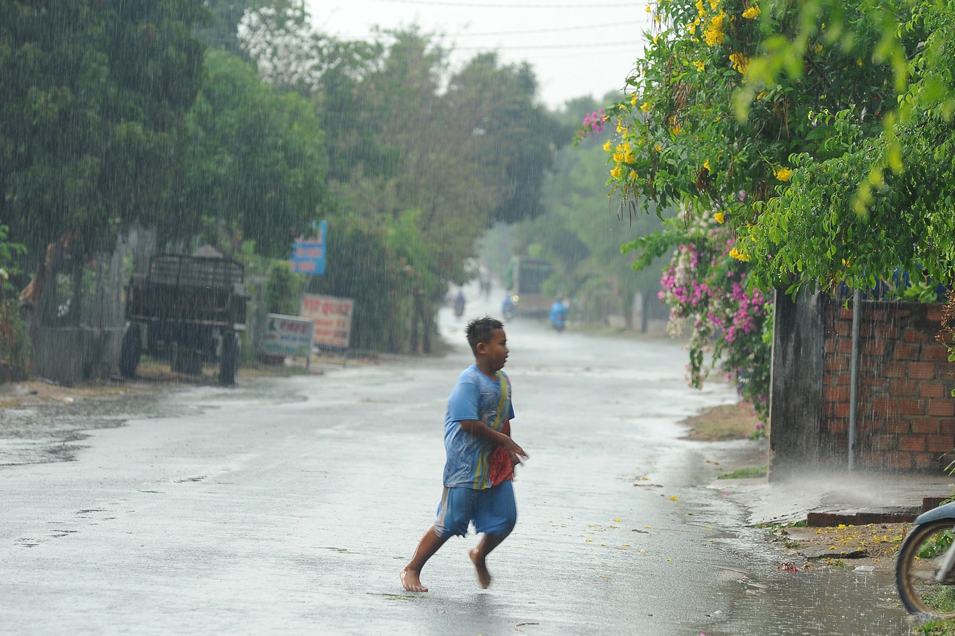 Kon Tum đón 'mưa vàng' sau nhiều tháng nóng đỉnh điểm ảnh 6