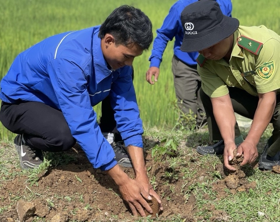 Kon Tum trồng hàng trăm nghìn cây xanh nhân dịp Tết trồng cây ảnh 4