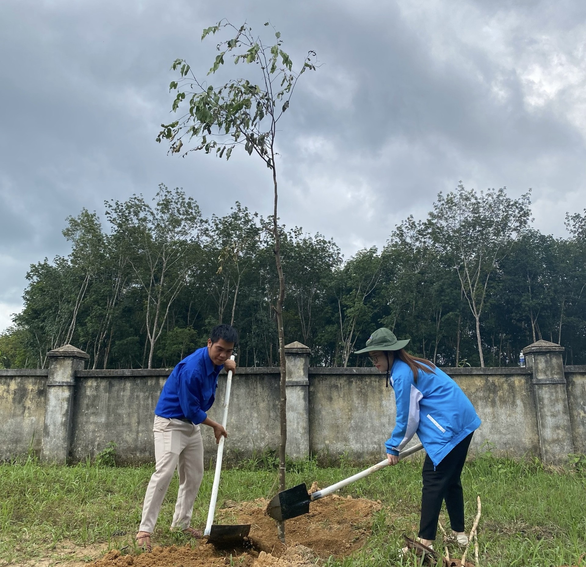 Kon Tum trồng hàng trăm nghìn cây xanh nhân dịp Tết trồng cây ảnh 7