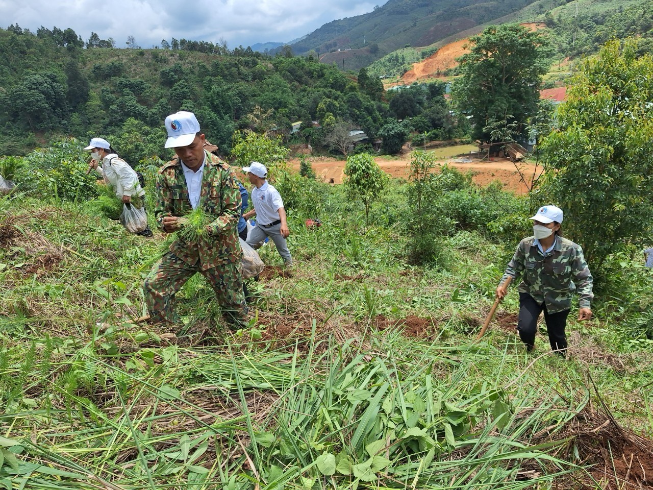 Kon Tum trồng hàng trăm nghìn cây xanh nhân dịp Tết trồng cây ảnh 8