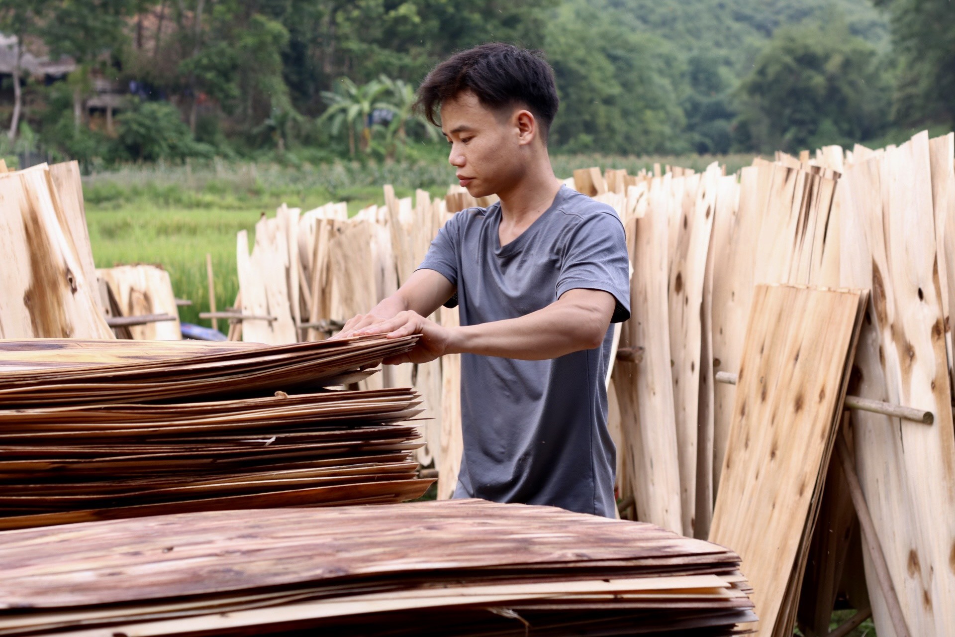 Làng nghề làm ván bóc Đồng Cướm (Tuyên Quang) ảnh 8