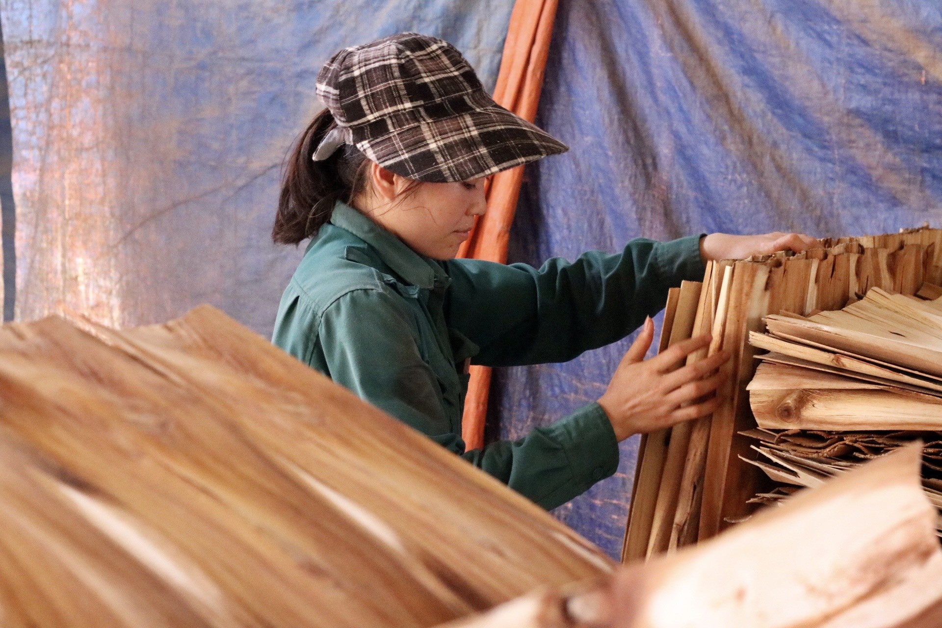 Làng nghề làm ván bóc Đồng Cướm (Tuyên Quang) ảnh 10