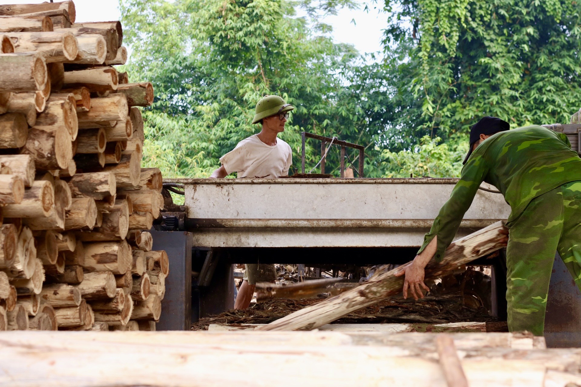 Làng nghề làm ván bóc Đồng Cướm (Tuyên Quang) ảnh 1