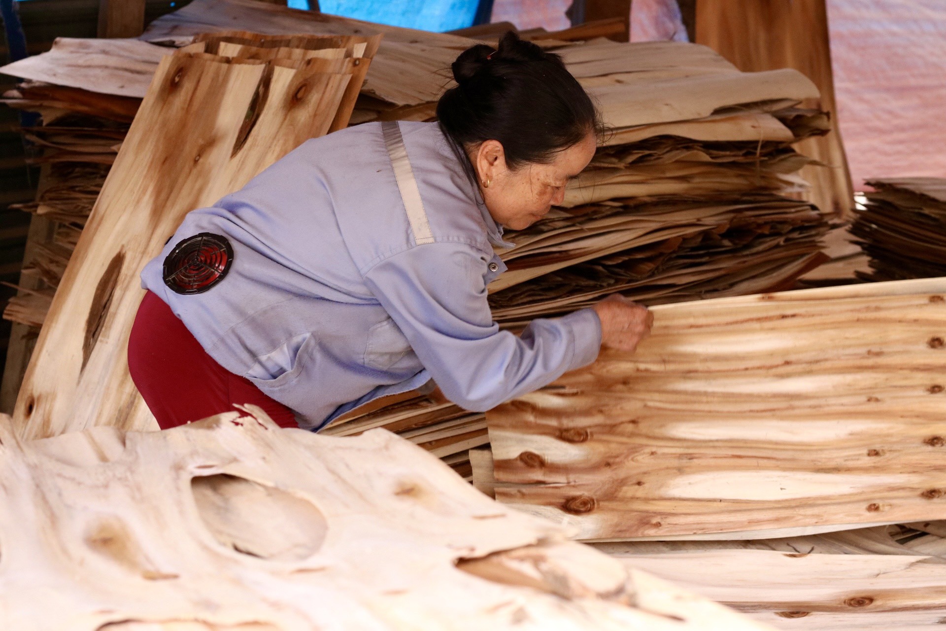 Làng nghề làm ván bóc Đồng Cướm (Tuyên Quang) ảnh 12