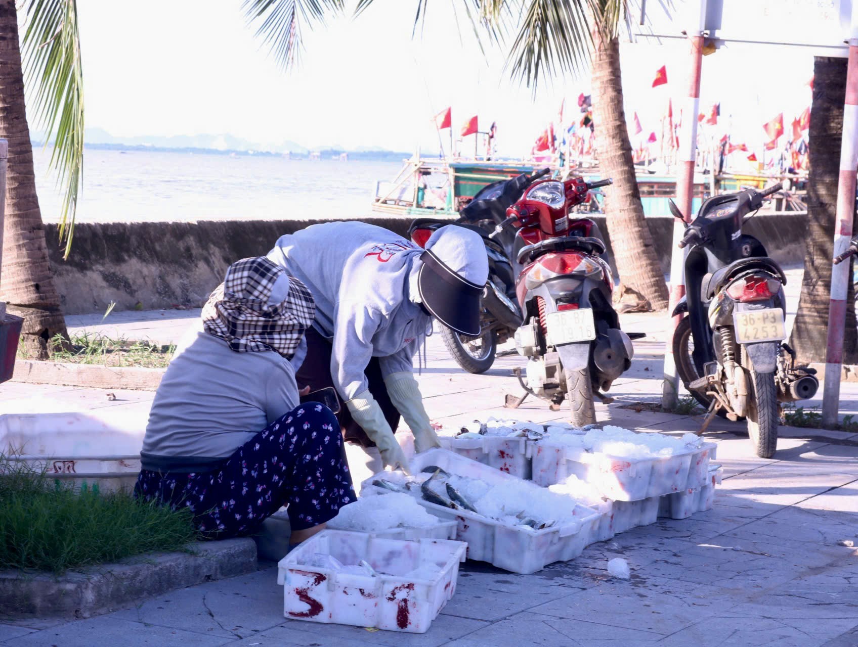 Tấp nập chợ cá Lạch Trường ngày nghỉ lễ ảnh 10