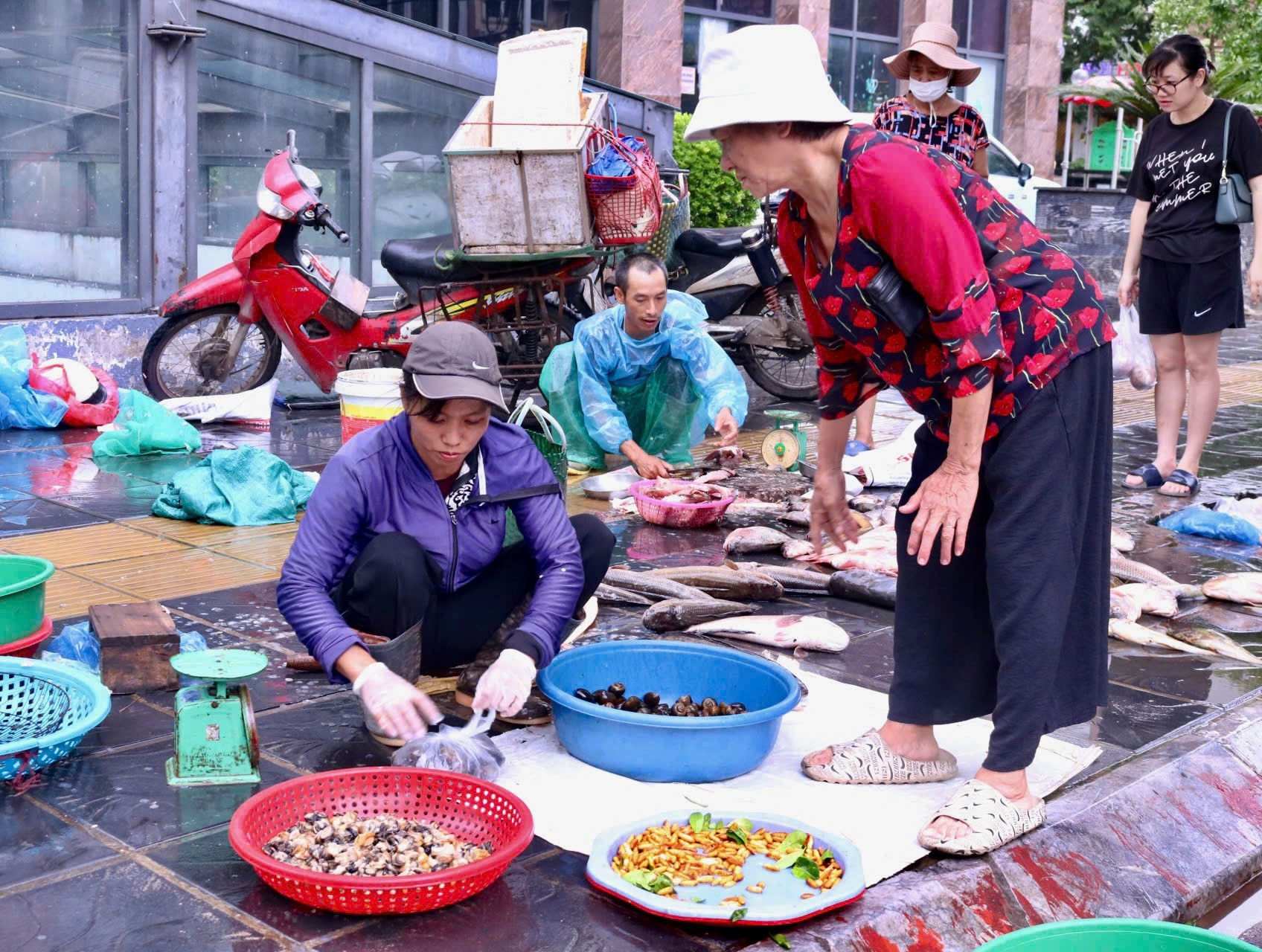 Chợ sớm sau bão: Vắng bóng tiểu thương, rau xanh tăng gấp rưỡi ảnh 7