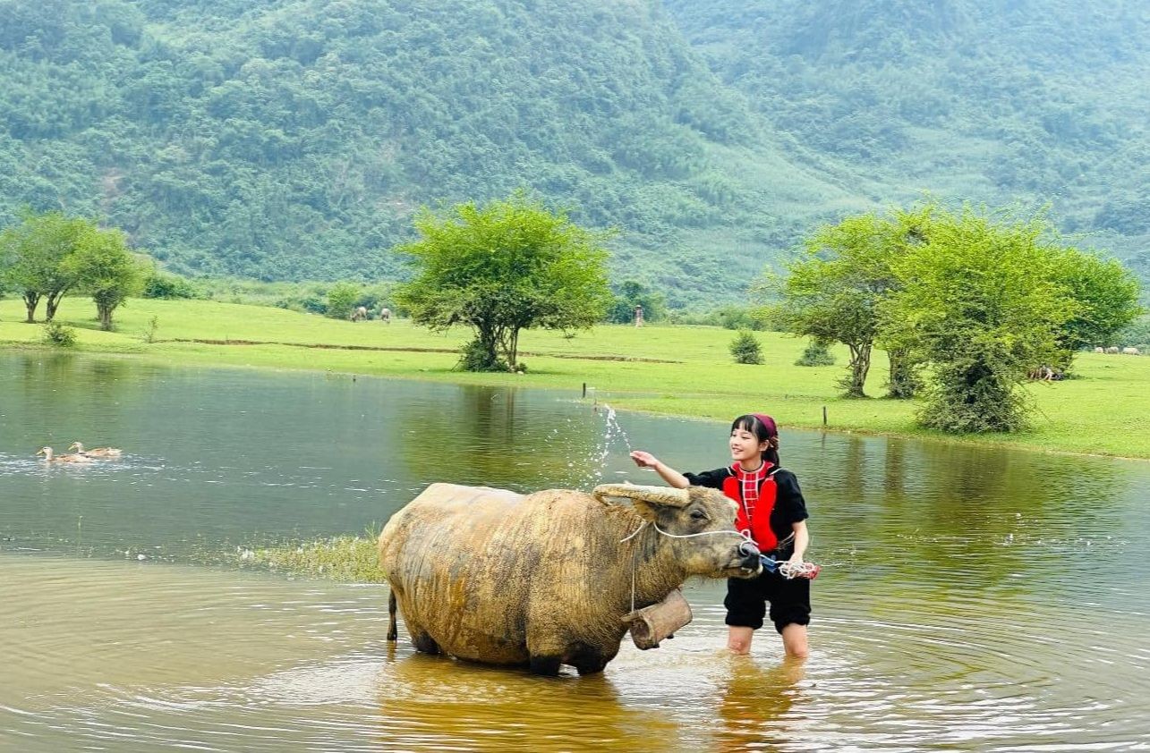 Một bé gái sốc tâm lý nặng sau khi đạo diễn Đỗ Thanh Sơn loại vai phút chót ảnh 3