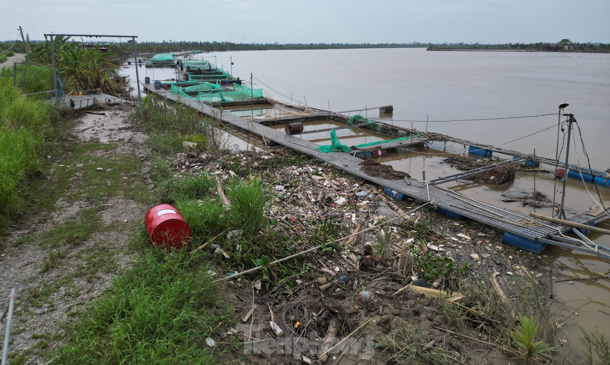 Tan hoang bên dòng sông Luộc: Bão số 3 cuốn bay 'bao nhiêu hi vọng, ước mơ làm giàu' ảnh 13