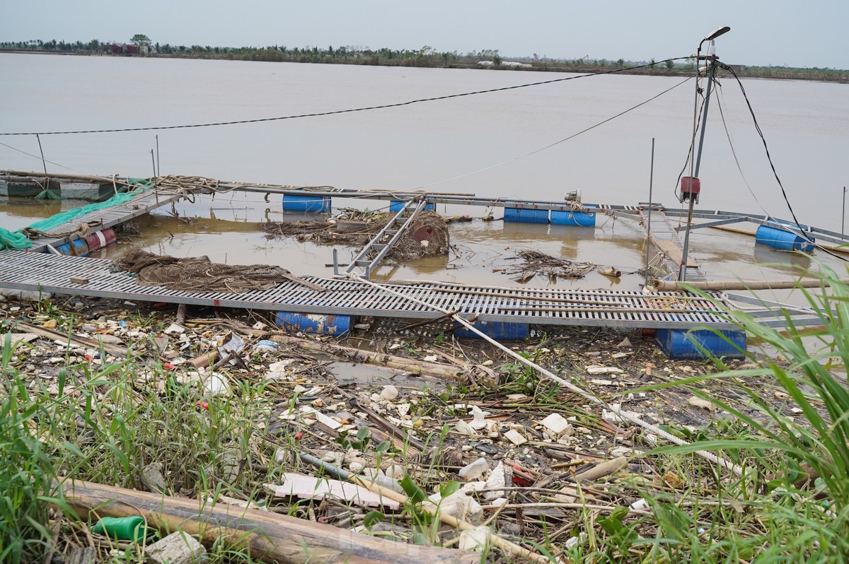 Tan hoang bên dòng sông Luộc: Bão số 3 cuốn bay 'bao nhiêu hi vọng, ước mơ làm giàu' ảnh 10