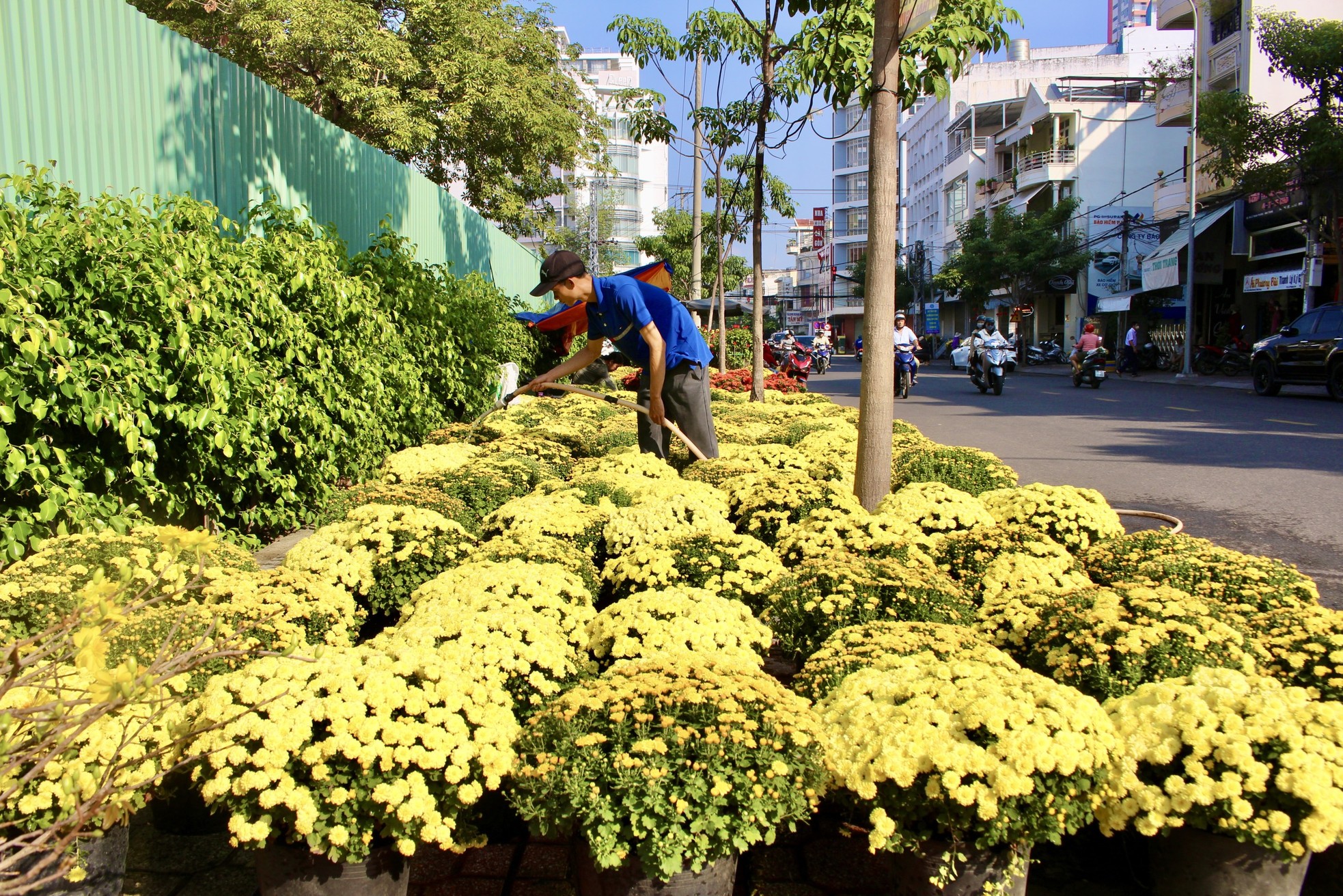 Hoa Tết trăm người bán, vài người mua ảnh 4