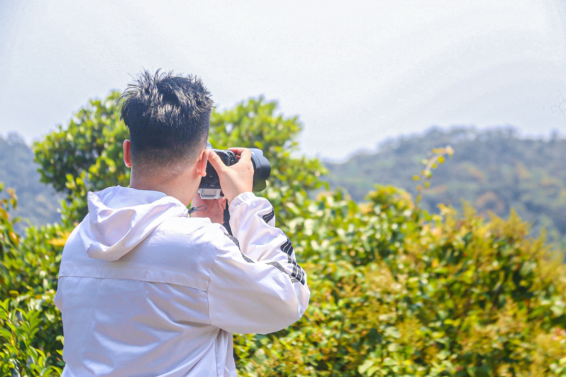 Ngắm bán đảo Sơn Trà đẹp mê mẩn mùa thay lá ảnh 5