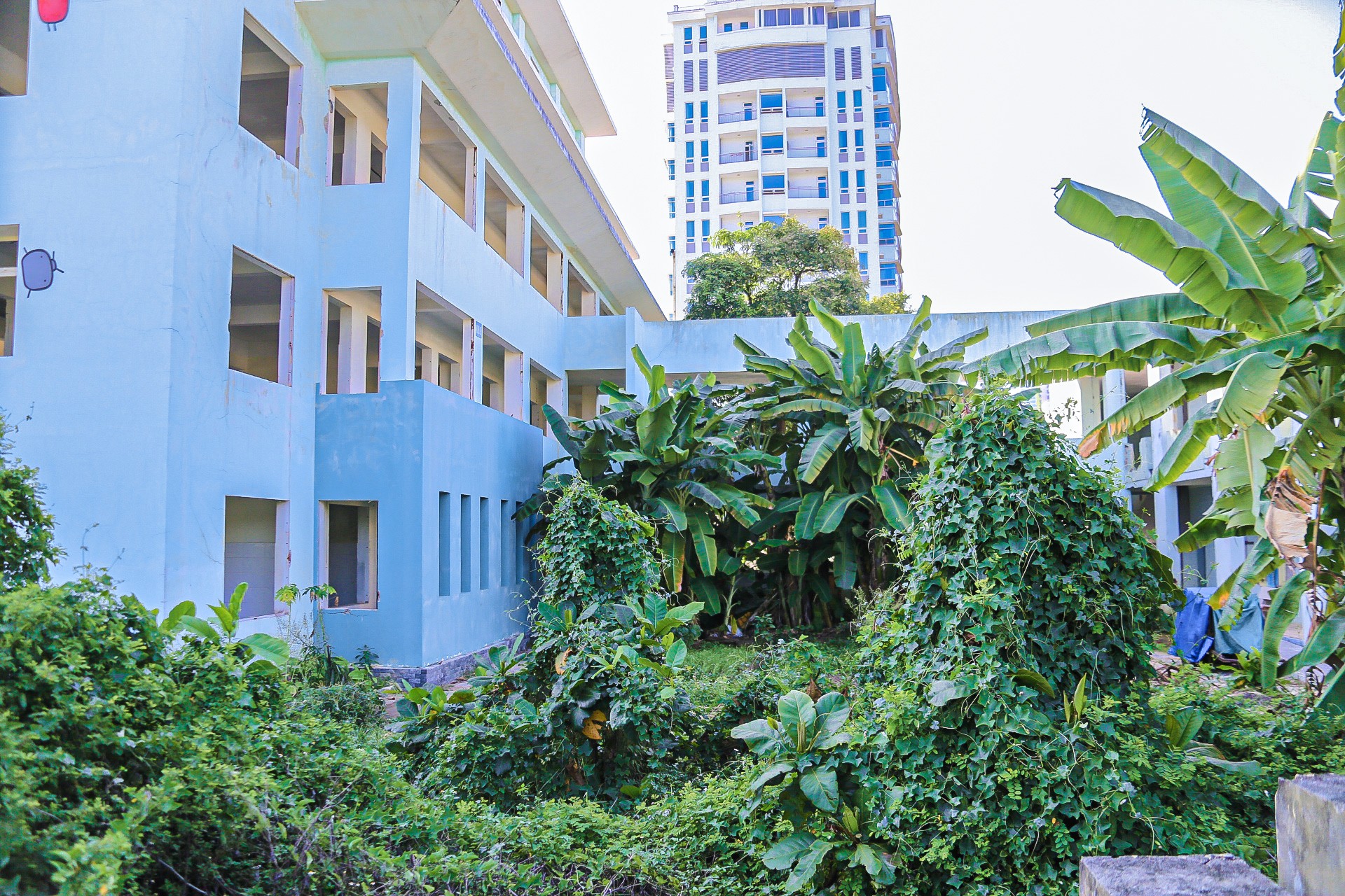 Bệnh viện bỏ hoang trên đất vàng ven biển Đà Nẵng ảnh 6