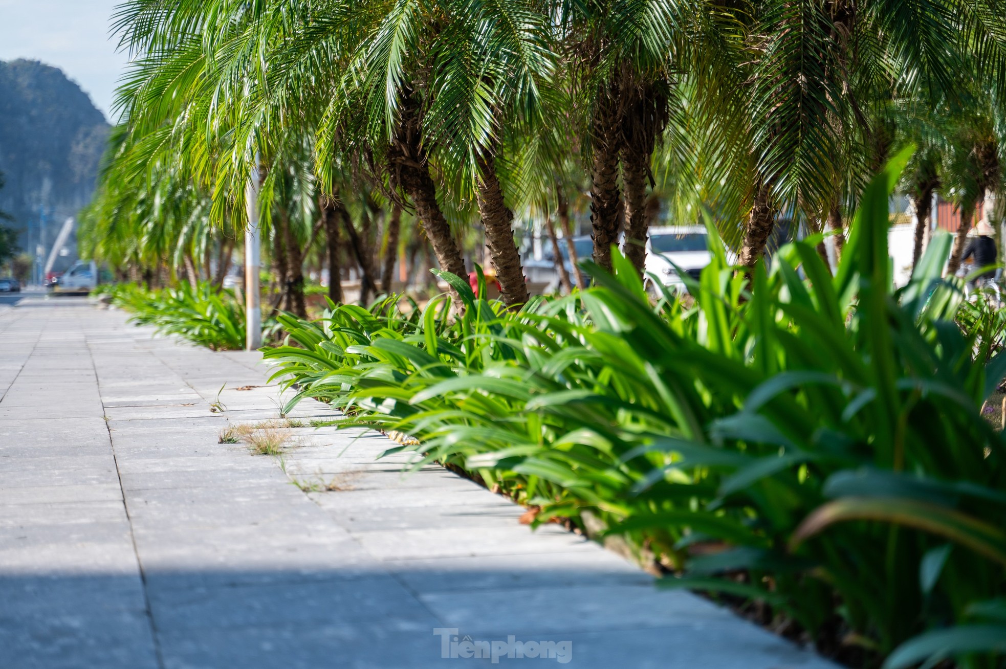 Hạ Long đầu tư trên 20 tỷ cải tạo mương nước thành công viên, bãi đỗ xe ảnh 6