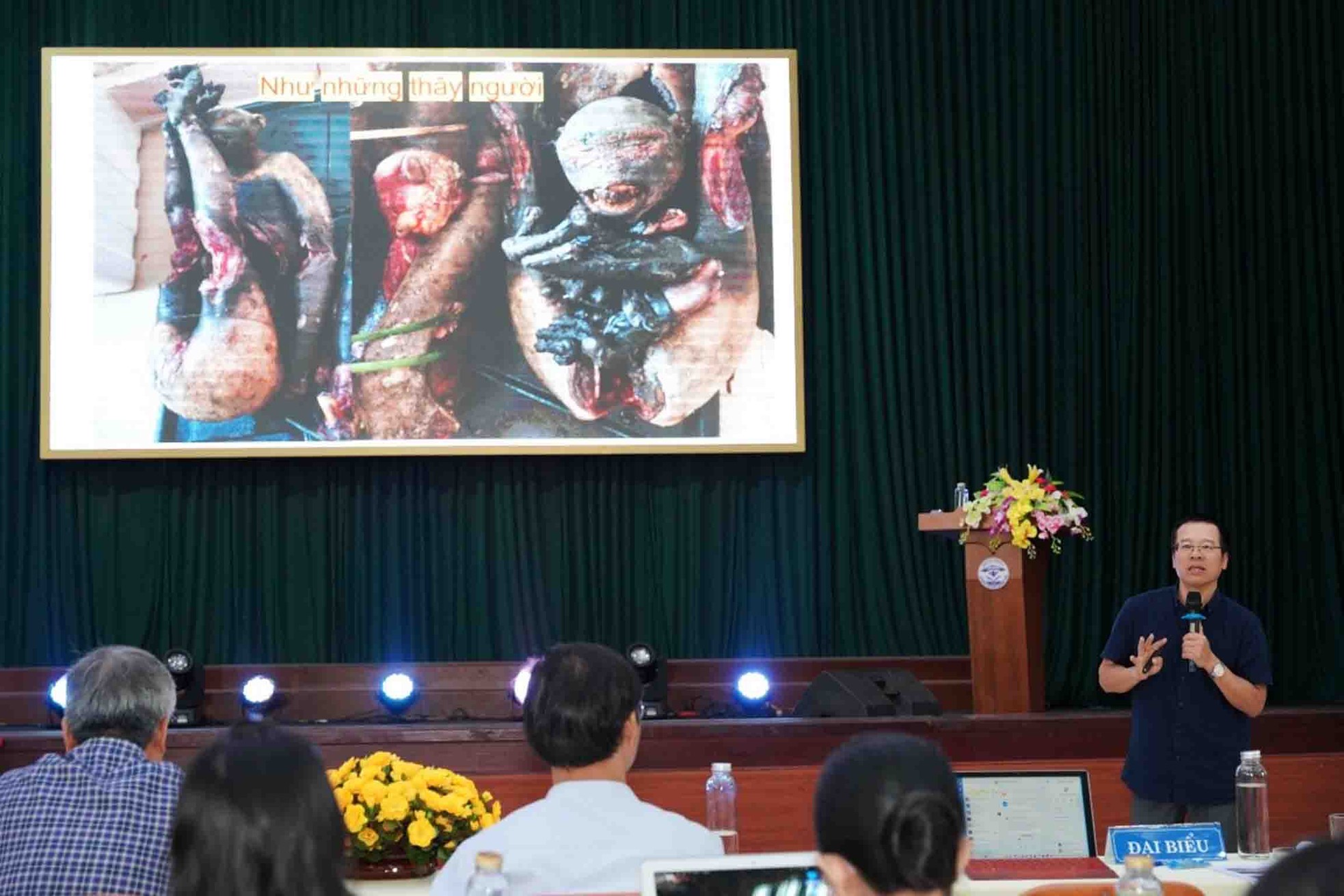 Sinh viên Quảng Nam tích cực 'Hành động vì động vật hoang dã' ảnh 3