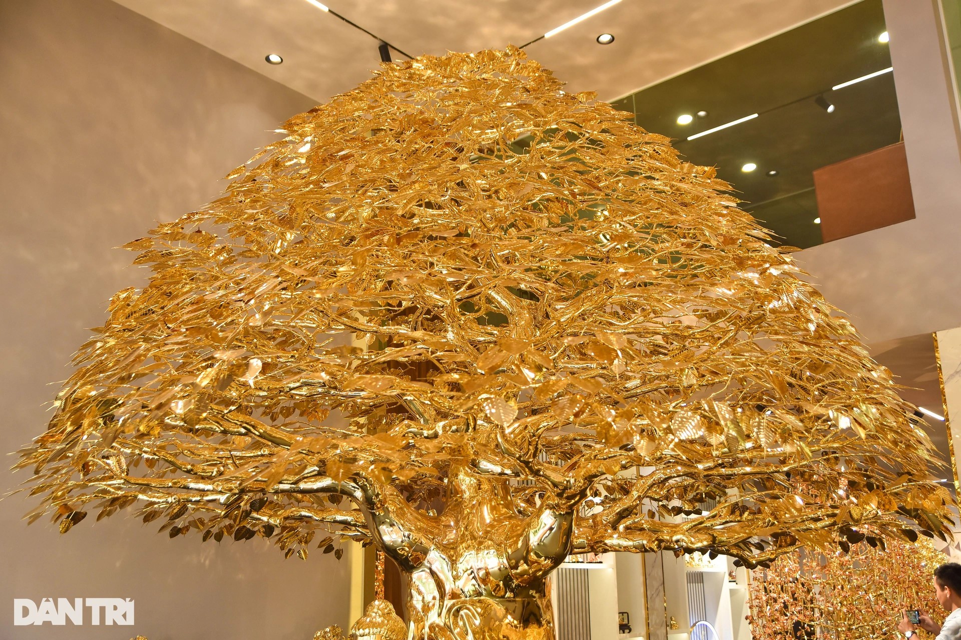Cây bồ đề chưng Tết được mạ vàng, giá 1 triệu USD ở TPHCM ảnh 4