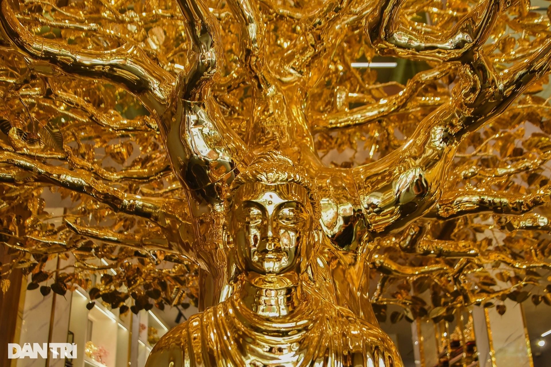 Cây bồ đề chưng Tết được mạ vàng, giá 1 triệu USD ở TPHCM ảnh 2