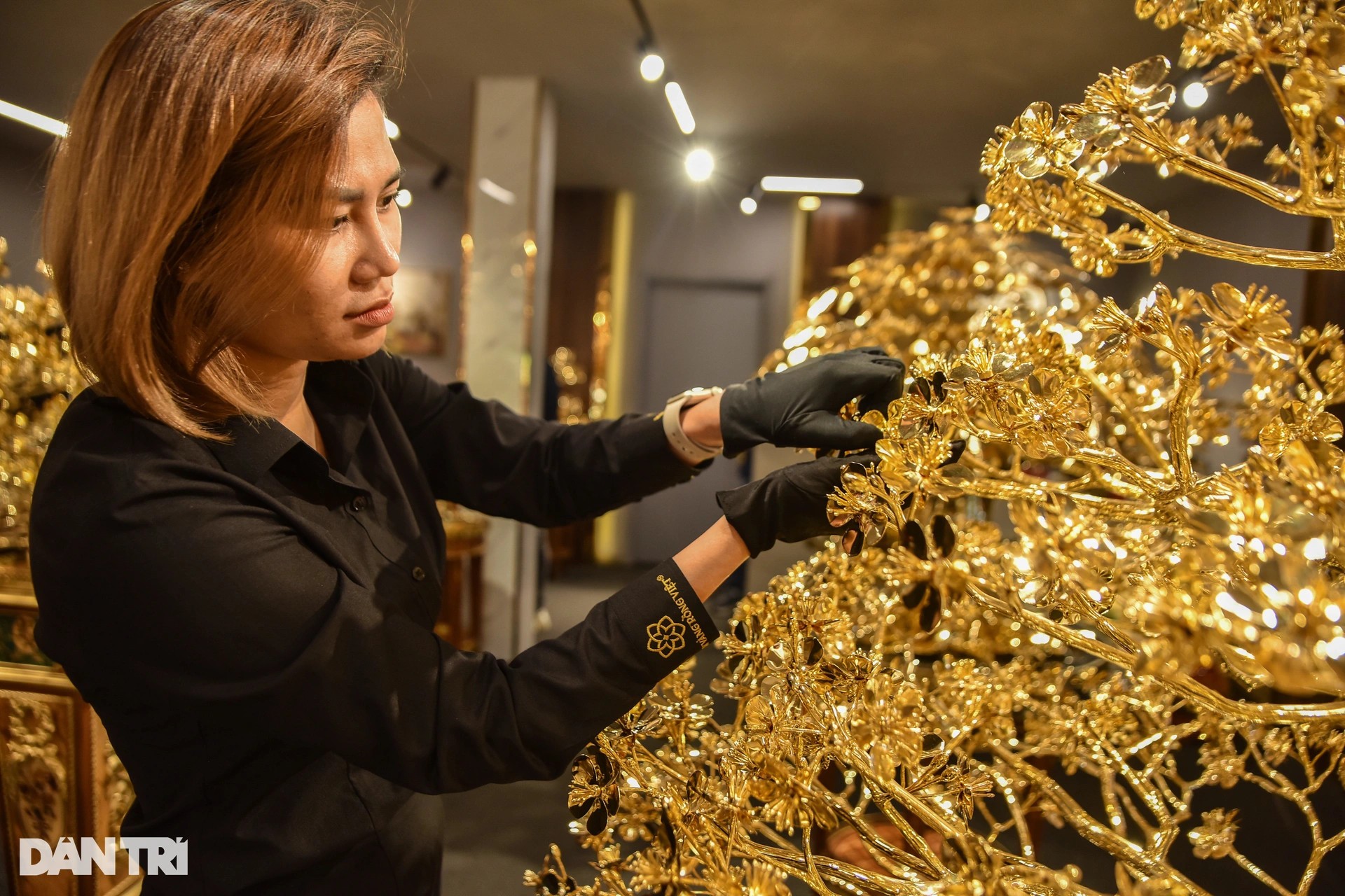 Cây bồ đề chưng Tết được mạ vàng, giá 1 triệu USD ở TPHCM ảnh 8