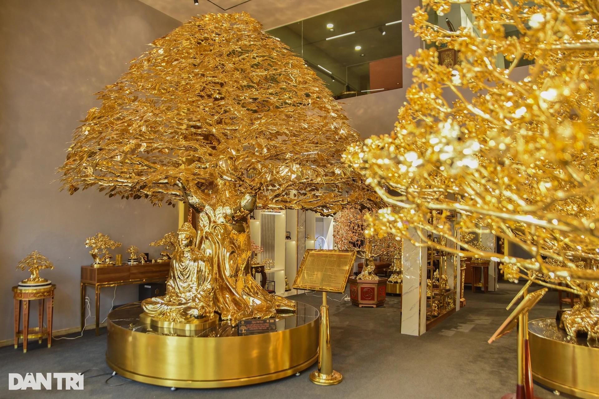 Cây bồ đề chưng Tết được mạ vàng, giá 1 triệu USD ở TPHCM ảnh 1
