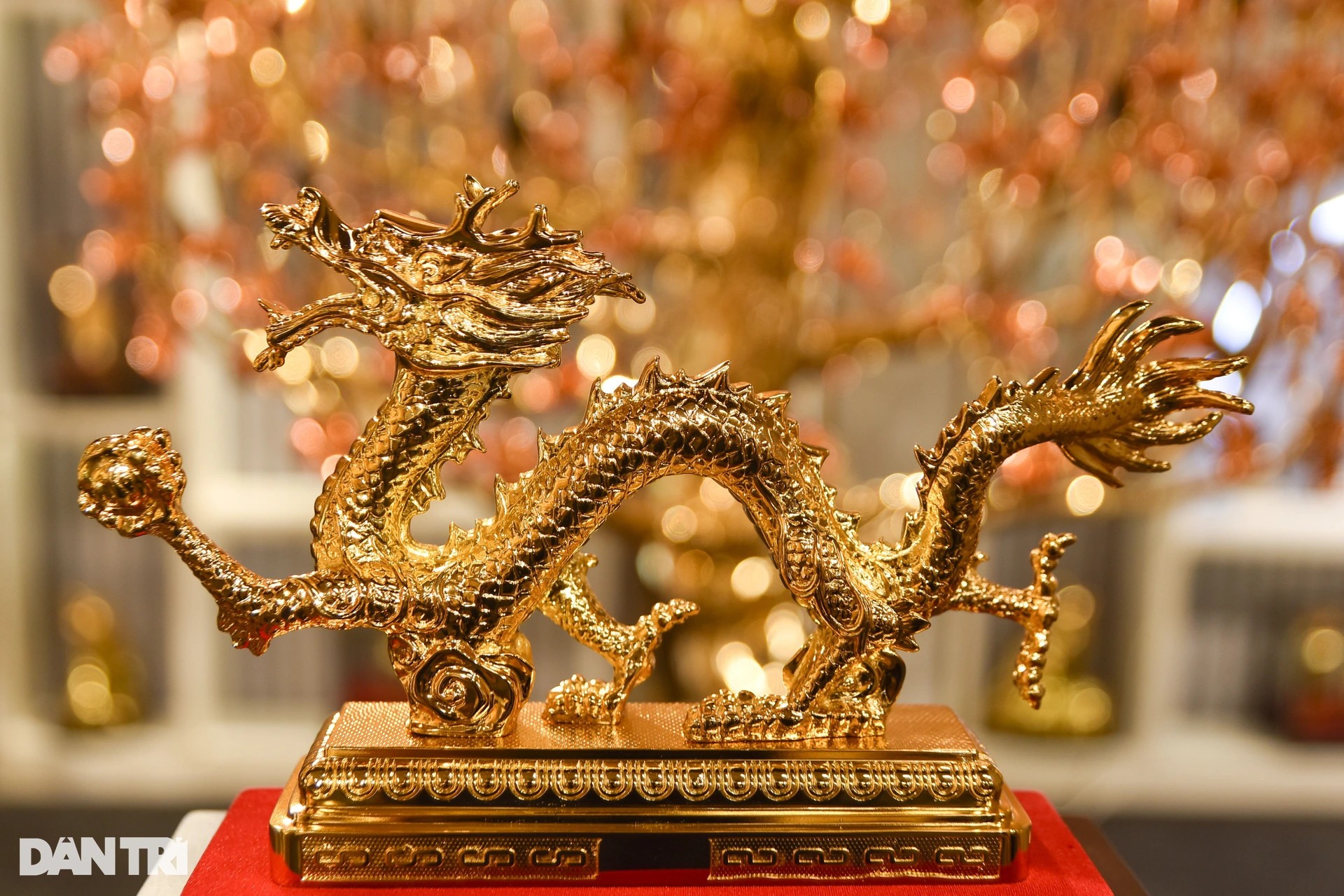Cây bồ đề chưng Tết được mạ vàng, giá 1 triệu USD ở TPHCM ảnh 10