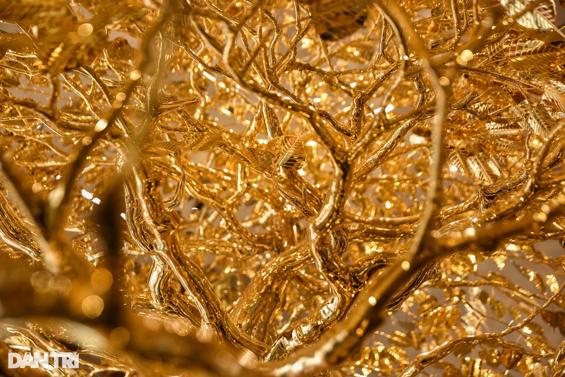 Cây bồ đề chưng Tết được mạ vàng, giá 1 triệu USD ở TPHCM ảnh 5