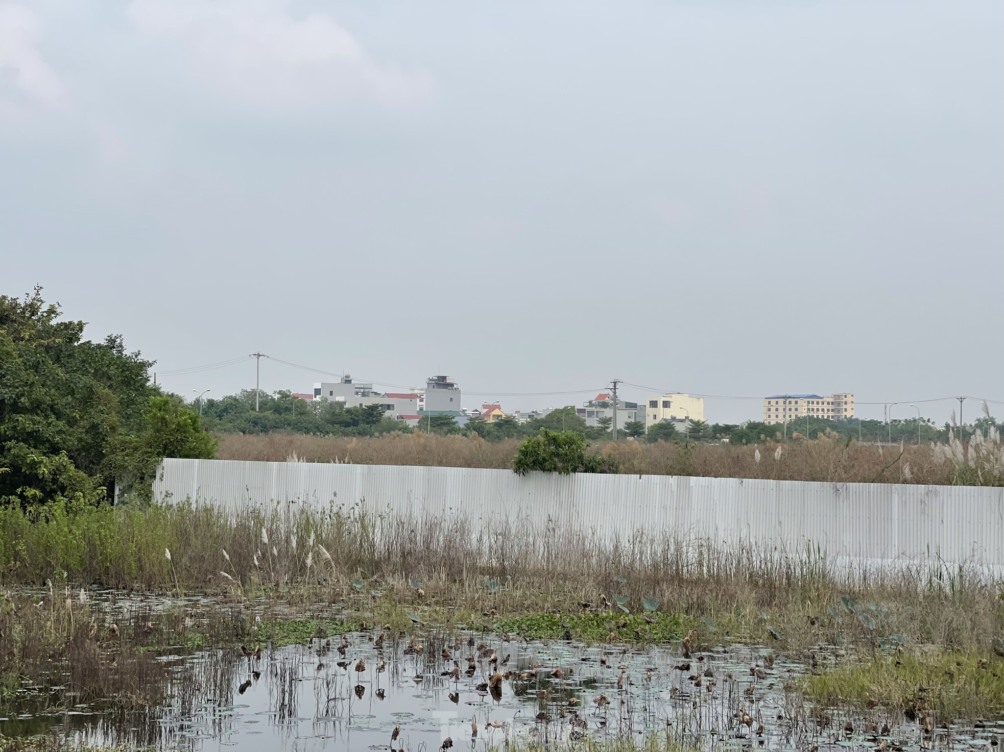 Hà Nội chuẩn bị thu hồi hơn 2.600ha đất nông nghiệp ở hai quận, huyện ảnh 8