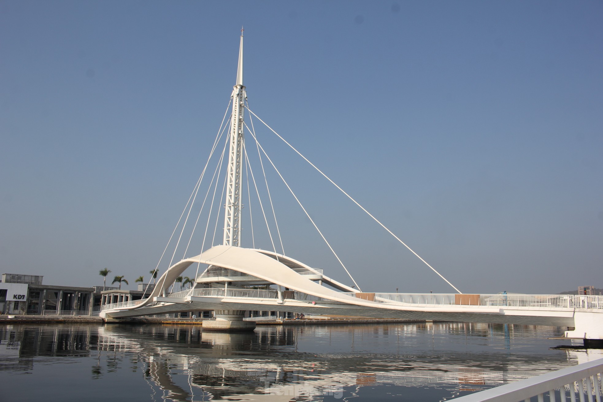 Chiêm ngưỡng kiến trúc ấn tượng của cầu xoay vượt sông dài nhất Châu Á ảnh 4