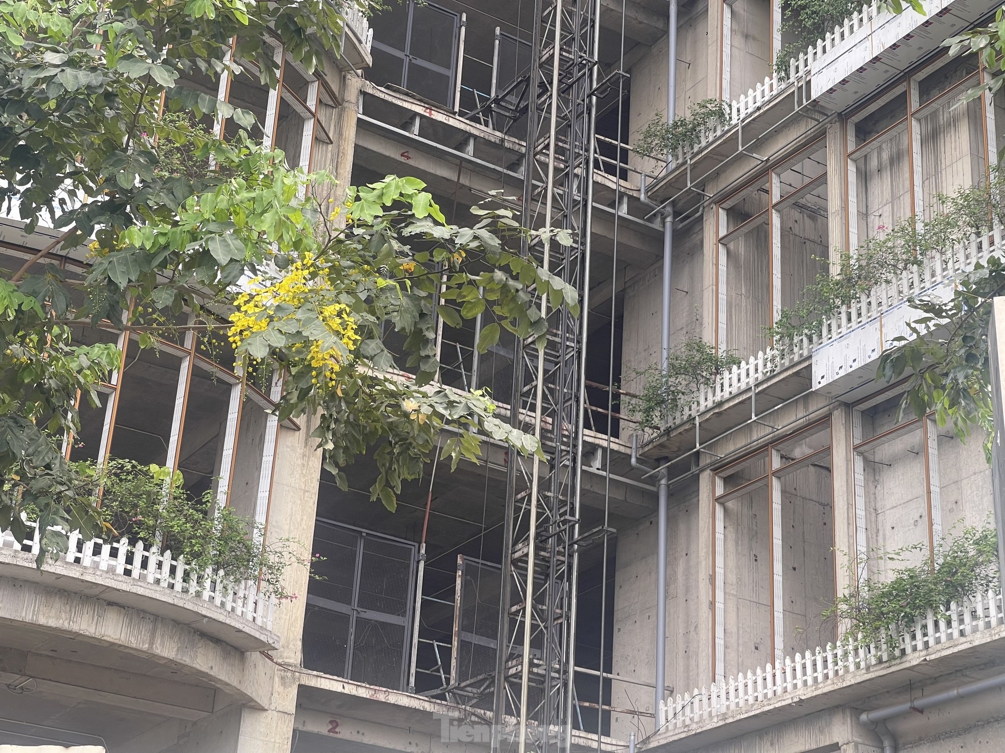 Động thái loạt dự án chung cư ở Hà Nội sau thời gian dài bỏ hoang, quây tôn ảnh 2
