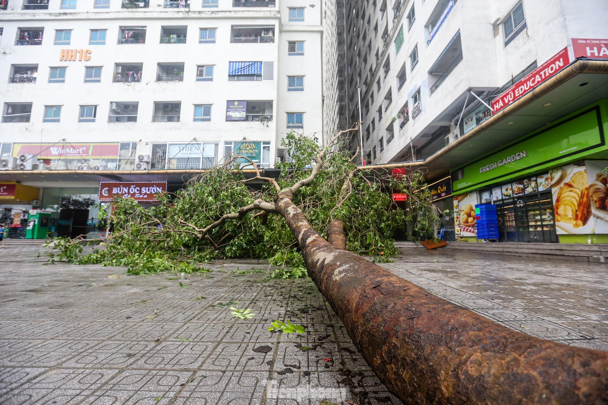Cảnh khu đô thị, khu chung cư hoang tàn sau bão ảnh 4