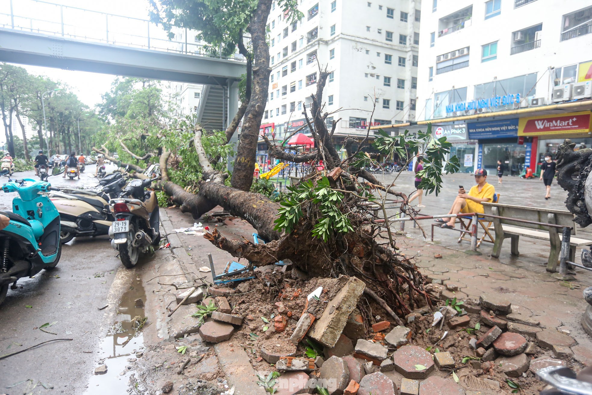 Cảnh khu đô thị, khu chung cư hoang tàn sau bão ảnh 3