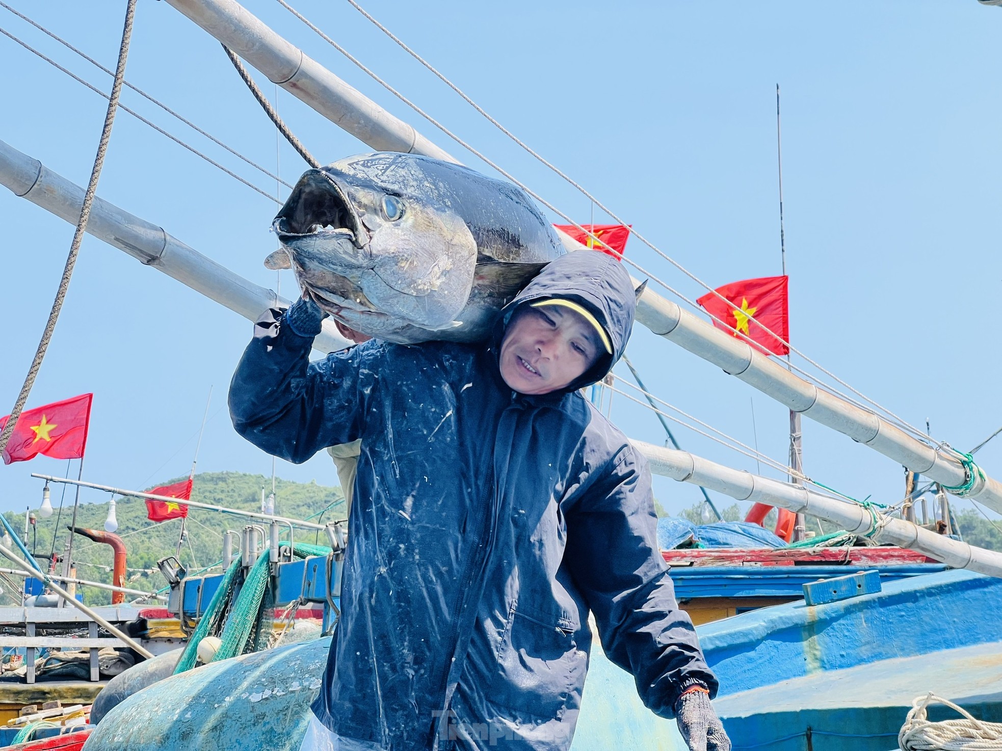 Xuyên Tết trên biển trở về, ngư dân Quảng Ngãi người buồn, người vui ảnh 8