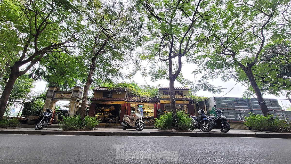 Hà Nội: Thực trạng phố Trịnh Công Sơn trước lúc phát triển thành không khí văn hóa truyền thống hình ảnh 2