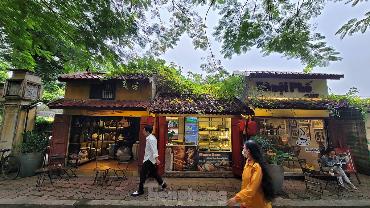 Hà Nội: Thực trạng phố Trịnh Công Sơn trước lúc phát triển thành không khí văn hóa truyền thống hình ảnh 5