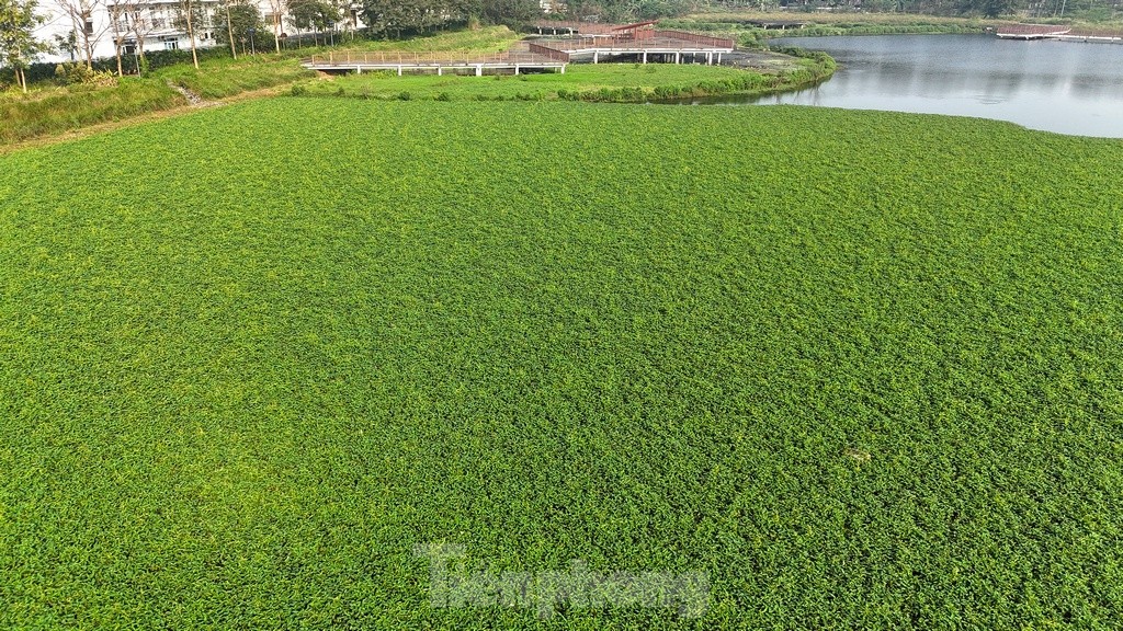 Thực trạng Công viên hồ Phùng Khoang được Chủ tịch Hà Nội 'chốt' yêu cầu hoàn thành trước Tết ảnh 4