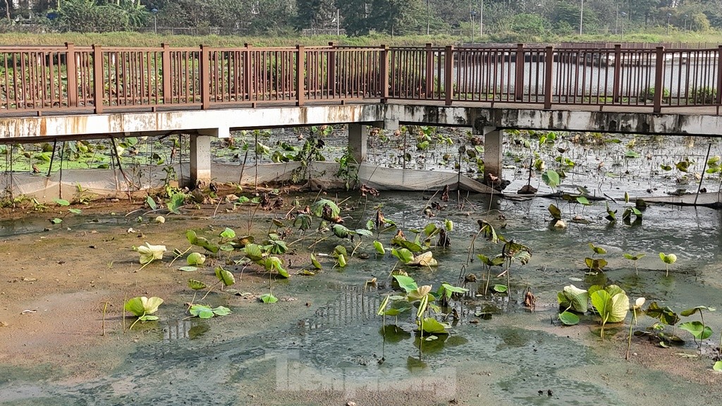 Thực trạng Công viên hồ Phùng Khoang được Chủ tịch Hà Nội 'chốt' yêu cầu hoàn thành trước Tết ảnh 3