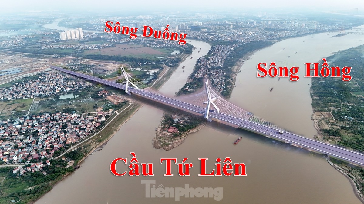 Toàn cảnh vị trí dự kiến xây dựng cầu Tứ Liên qua sông Hồng ảnh 4