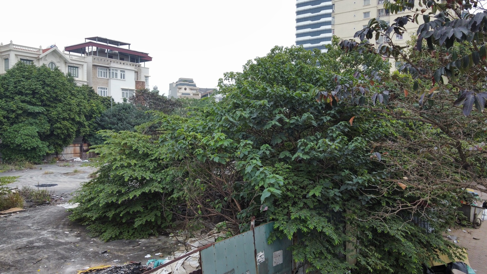 Cận cảnh khu 'đất vàng' hơn 4.000m2 của Công ty AIC vừa bị Hà Nội thu hồi ảnh 10