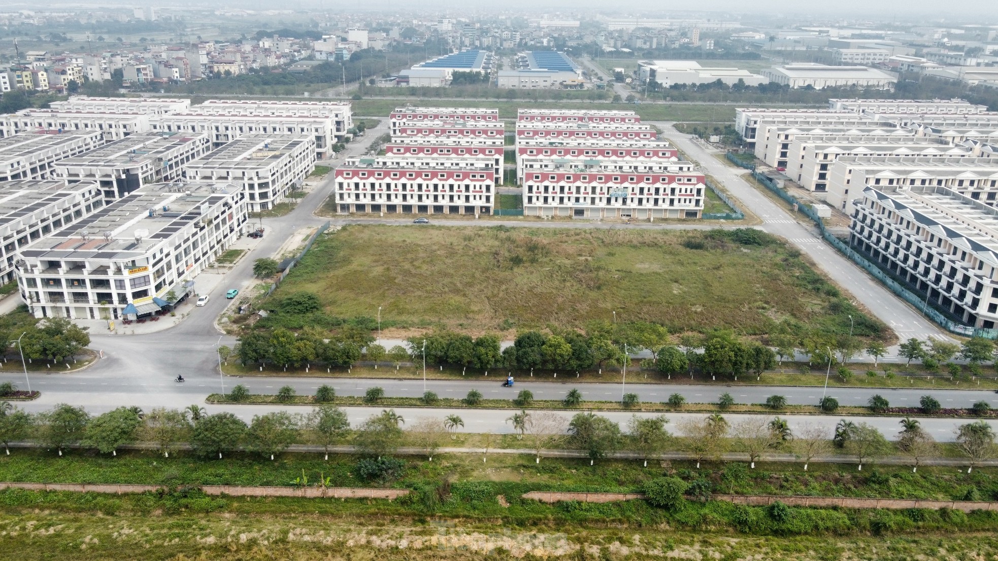 Hàng trăm biệt thự bỏ hoang trong khu đô thị bị thanh tra điểm mặt vi phạm ảnh 1