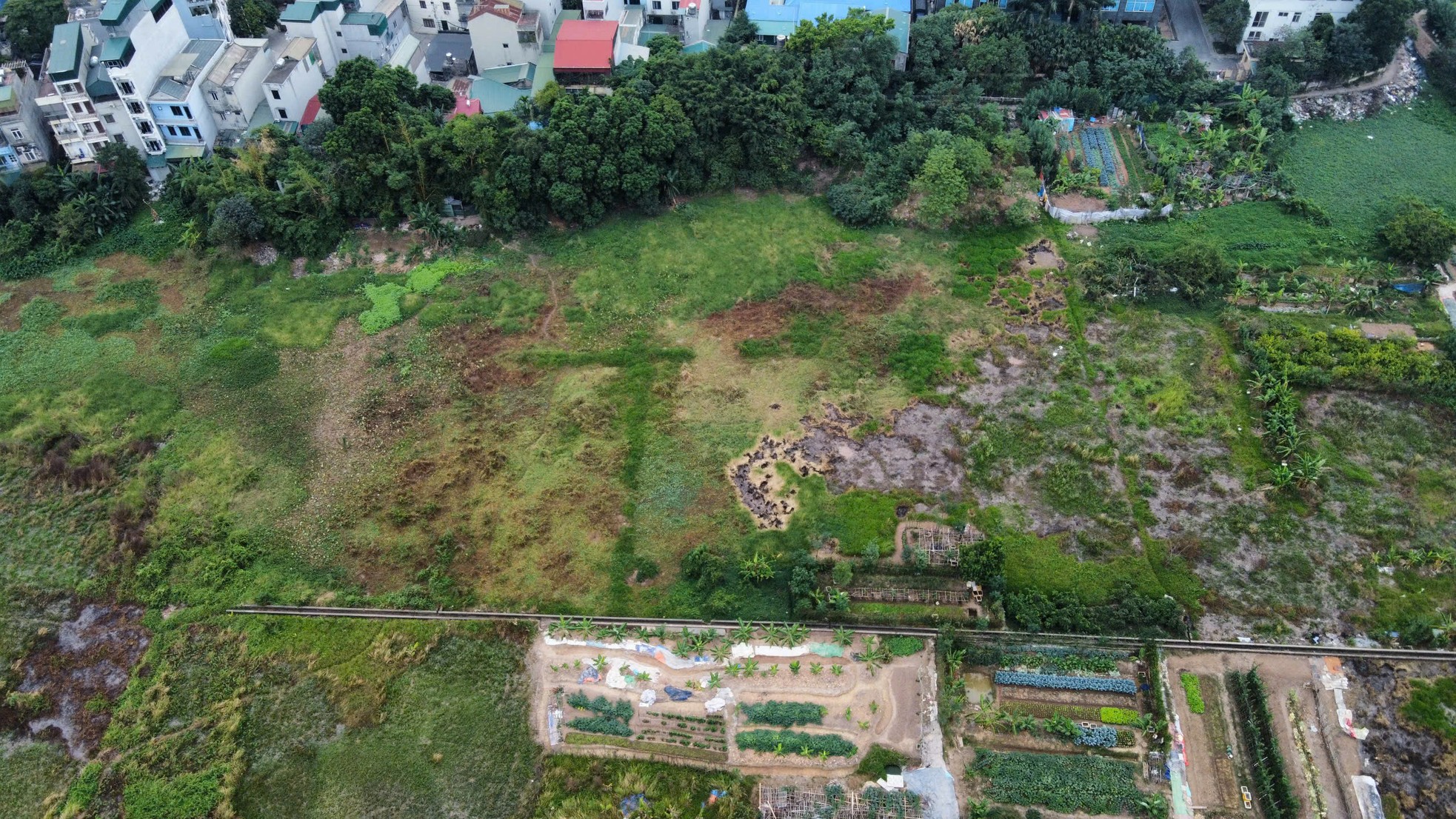 Đấu giá khu đất 4,4 ha làm khu nhà ở thấp tầng ở phường đông dân nhất Thủ đô ảnh 6