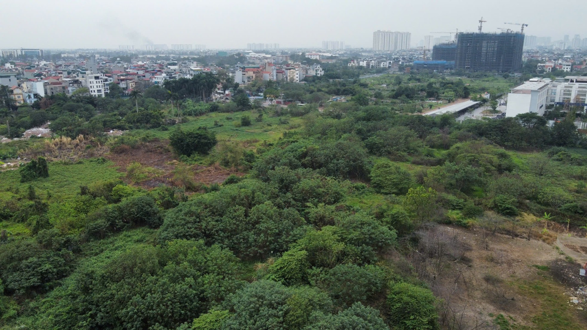 Đấu giá khu đất 4,4 ha làm khu nhà ở thấp tầng ở phường đông dân nhất Thủ đô ảnh 5
